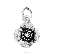 Charm Giovanni Raspini in Argento 12714